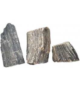 Tronco petrificado gris 5 kg