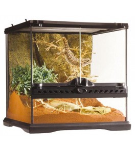 Terrario Cristal Exo Terra 30x30x30 cm 27 L PT2600