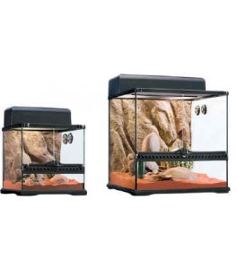 Exo Terra Habitat Kit Desertico 27 Lts 30x30x30 cm PT2650