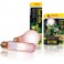 Exo Terra Day Glo Lámpara incandescente 25W PT2102