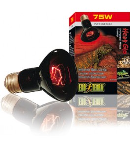 Exo Terra Heat Glo Infra-Rojo Nocturno 100W PT2144