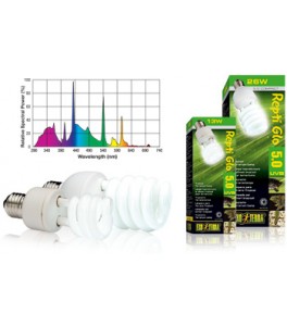 Exo Terra Repti Glo 5.0 Fluorescente Compacto 26W PT2187