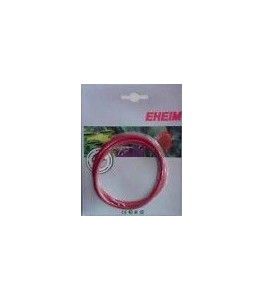 7229698 Junta torica para 2004/2005