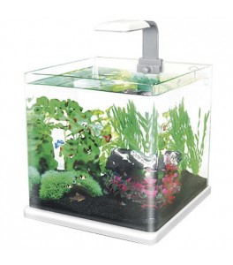 Nano Acuario Biotop Natur Led