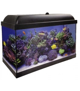 Nano Acuario Marino Hydra con Aqua Led Pro