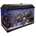 Acuario Marino Hydra con Aqua Led Pro