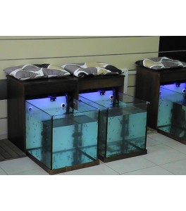 Garra Rufa Spa Mod. Arica