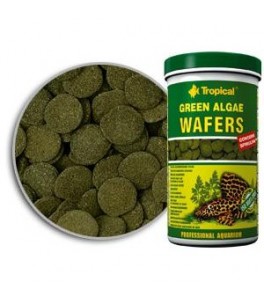 Tropical Green Algae Wafers