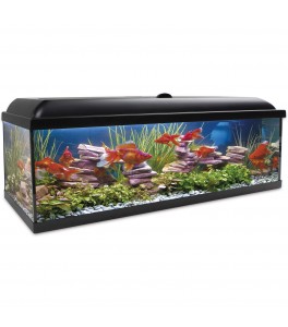 Kit AQUA-LED PRO 25L-300L