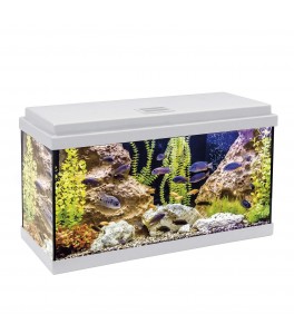 Kit AQUA-LED con filtro interior