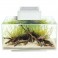 Acuario Fluval Edge 23L