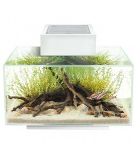 Acuario Fluval Edge 23L