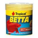 Tropical Betta