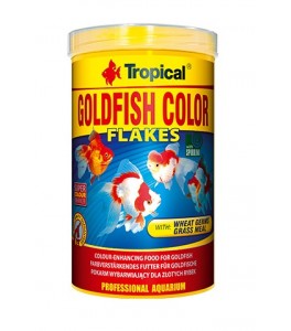 Tropical Goldfish Color 1200ml