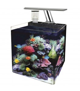 Nano acuarios marinos