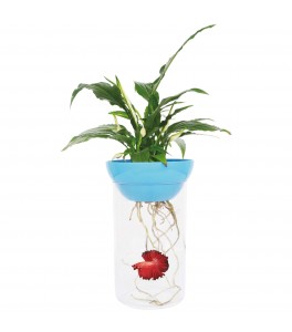 Pecera / Betera NATURE (1.2 l)