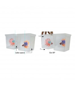 BETAWORLD (iniciación) (0.75 l)