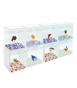 BETAWORLD Cube (iniciación) (1.5 l)