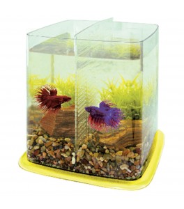 Bettera BETTA BATTLE PARADISE (6.4 l)