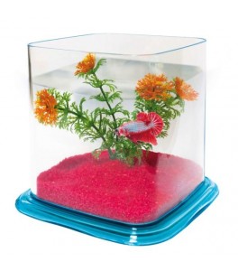 Bettera BETTA PARADISE (1.9 l)