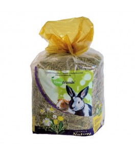 Heno HomeFriend Manzanilla/Diente de leon 500gr