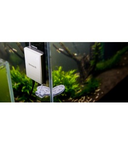 Twinstar Shrimp - Preventivo para enfermedades de gambas