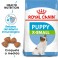 ROYAL CANIN X-SMALL JUNIOR