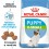 Royal Canin X-Small puppy 500gr