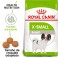 ROYAL CANIN X-SMALL ADULT