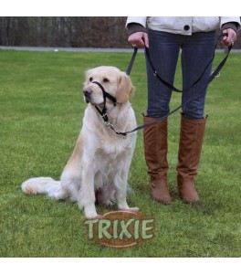 Trixie Arnés-Bozal Entrenamiento Top Trainer