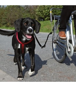 Trixie Set Bicicleta Deluxe