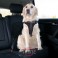 Trixie Arnés Seguridad Dog Protect
