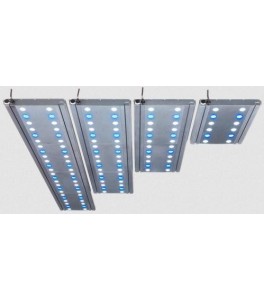 Ocean Light LED Twin