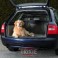 Trixie Barras Protectoras para el Coche 