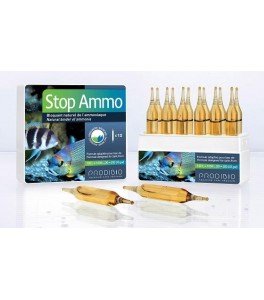 Stop Ammo