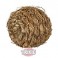 Pelota de Hierba con cascabel, ø 10 cm