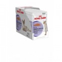 Royal Canin Digest Sensitive Caja 12 ud