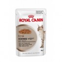 Royal Canin Ageing +12, 1 ud