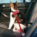 Trixie Arnés y Cinturón seguridad gatos 20-50 cm Rojo