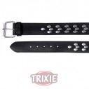 Trixie Collar Active con remaches, M, 38/45 cm,40 mm, ng.