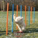 Trixie 12 Mástiles Agility Slalom, 115xø 3 cm, az./nar.
