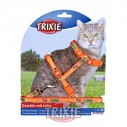 Trixie Set gatos, cinta diseño, nylon