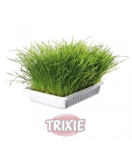 Trixie Bandeja Bio hierba para gatos, aprox.100 g