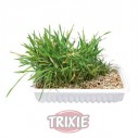 Trixie Recambio hierba gatos ref 4235, 100g