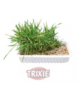 Trixie Recambio hierba gatos ref 4235, 100g