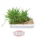 Trixie Recambio hierba gatos ref 4235, 100g