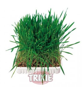 Trixie Bandeja hierba para roedores, 100 g, cajita