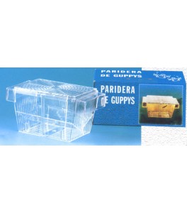 Paridera Guppys Grande
