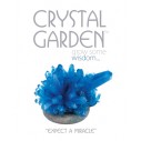Jardin de cristal Azul (Ver Colores)