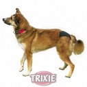 Trixie Braguitas talla L de color negro para perro